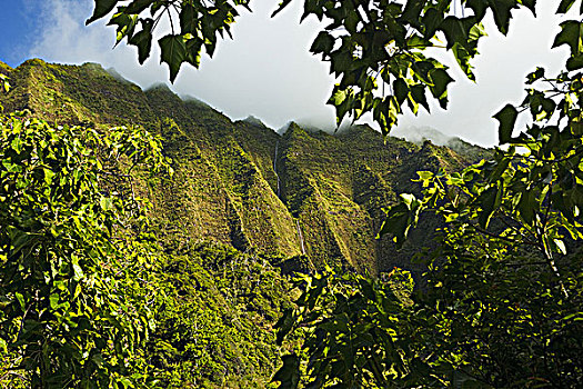 夏威夷,考艾岛,纳帕利海岸,瀑布,山,脊,小路