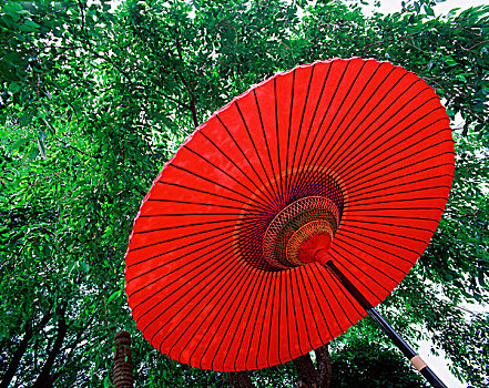 日本,红色,油纸伞