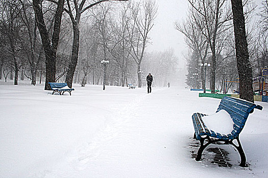 公园长椅,雪