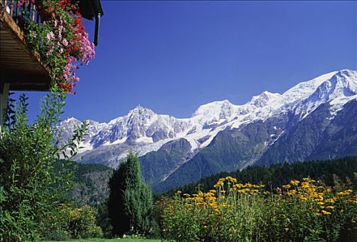 法国,上萨瓦,勃朗峰,木房子,花,露台,雪山,背影