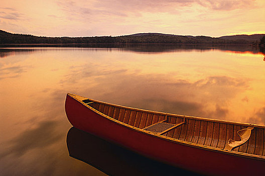 独木舟,湖,日落,加蒂诺公园,魁北克,加拿大