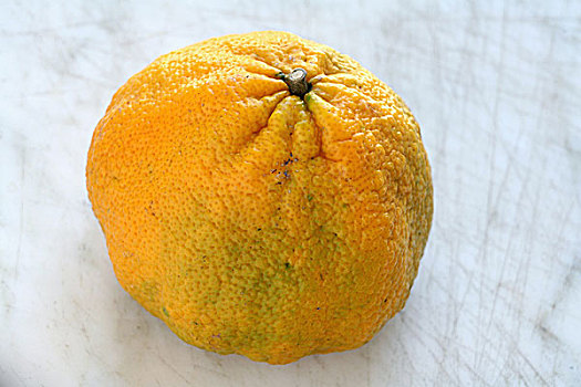 牙买加,丑陋,柑橘