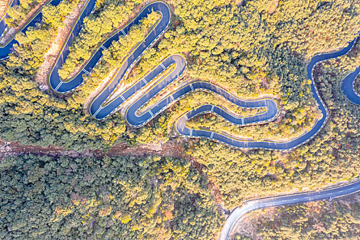 蜿蜒道路