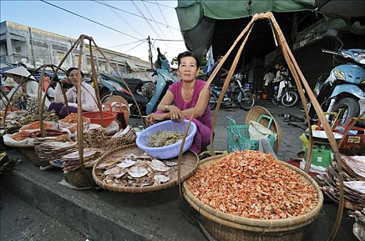 女人,销售,干鱼,虾,街边市场,湄公河三角洲,越南,亚洲