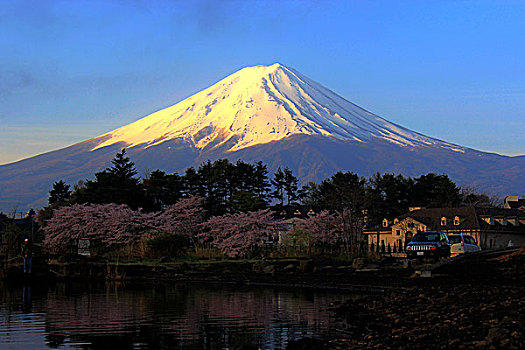 富士山