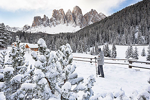 远足,雪鞋,走,初雪,背景,路,一个,漂亮,路线,博尔查诺,省,特兰迪诺,南蒂罗尔,意大利,欧洲