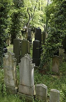 老,犹太,公墓,中间,弗兰克尼亚,巴伐利亚,德国,欧洲