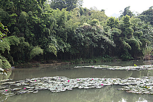 竹林绿地路桥