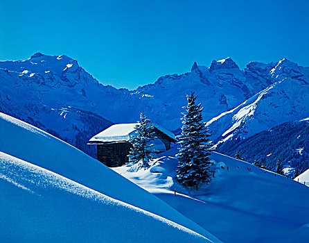 冬季风景,奥地利