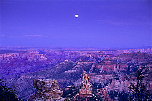 美国,亚利桑那,大峡谷国家公园,月出,上方,北缘