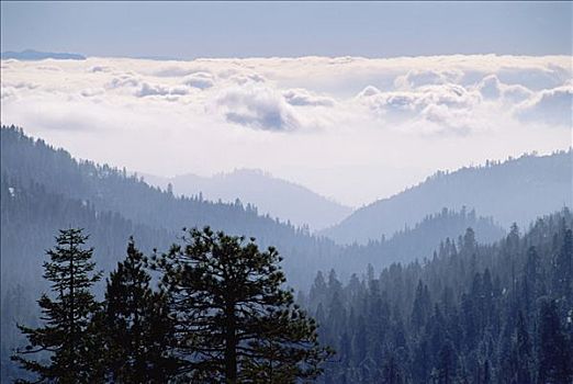 朦胧,风景,西部,内华达山脉,山麓,国王峡谷,国家公园,加利福尼亚