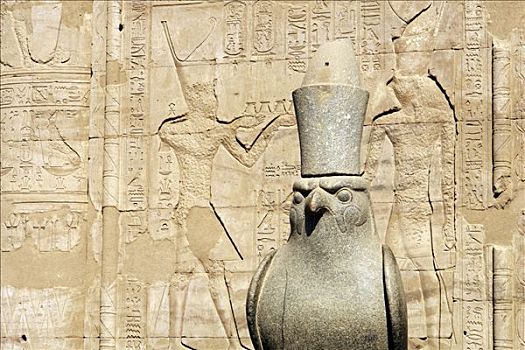 高安宝神庙,埃及,最好,保存,庙宇,植物,神,霍鲁斯,健身,猎鹰,伊迪芙