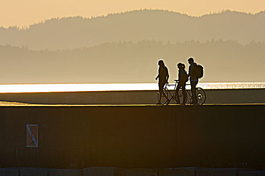 三个人,走,码头,维多利亚,温哥华岛,不列颠哥伦比亚省,加拿大