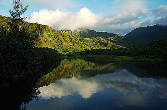 夏威夷,考艾岛,北岸,山谷,河流,下午,阳光