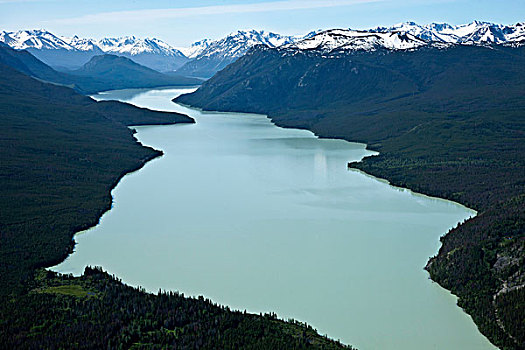 航拍,俯视,湖,南,卡里布,区域,不列颠哥伦比亚省,加拿大