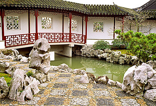 社交,中式花园,水塘