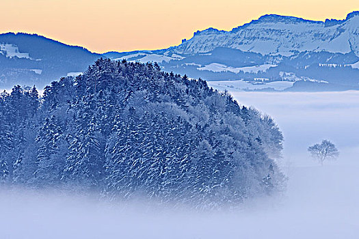 俯视,阿尔卑斯山,冬天,瑞士
