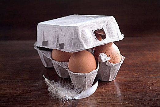 纸盒,蛋