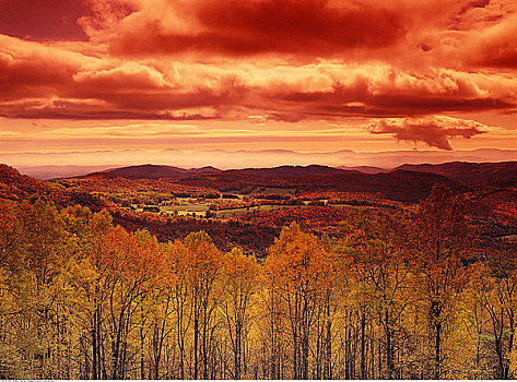 秋日树林,蓝脊公园大道,弗吉尼亚,美国