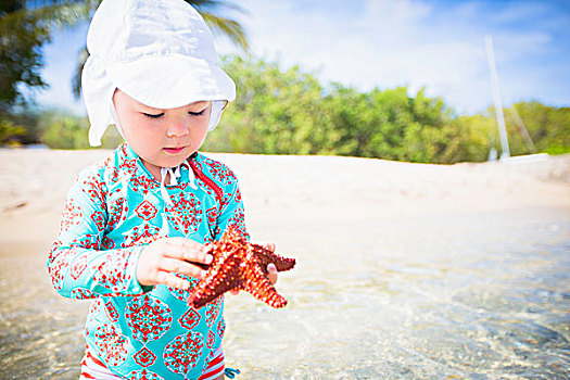 女孩,海滩,戴着,太阳帽,拿着,海星,俯视,美国维京群岛
