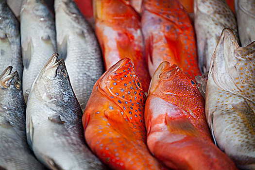 鱼,市场,普吉岛,泰国,亚洲