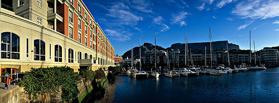 南非,开普敦,下午,太阳,酒店,游艇,港口,水岸