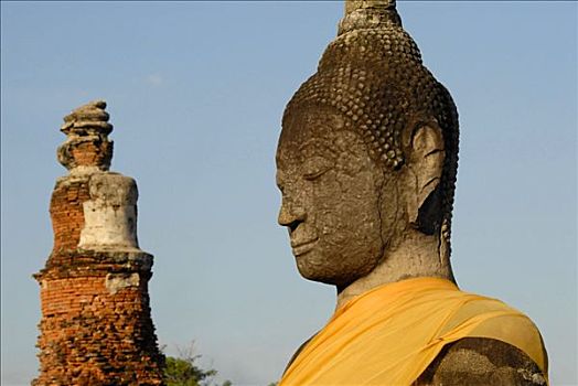 头部,佛像,面对,砖,塔,玛哈泰寺,大城府,泰国