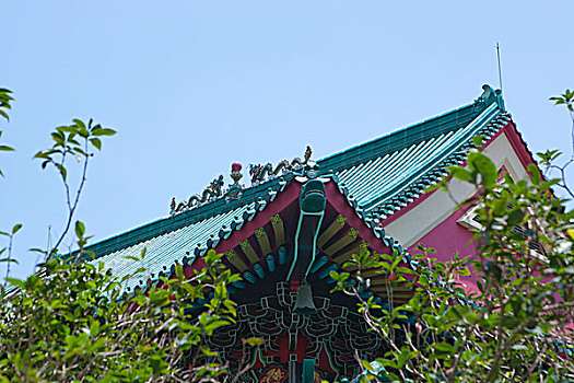 砂质黏土,竹林,寺院,香港