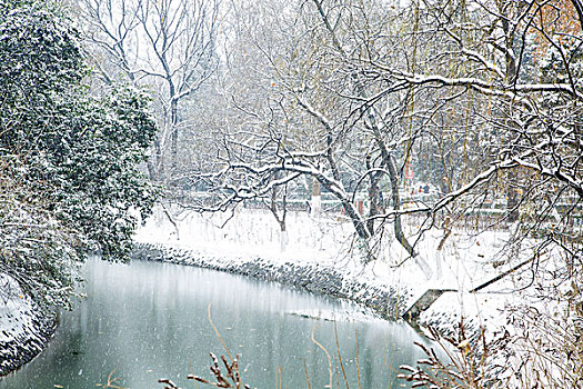 雪景