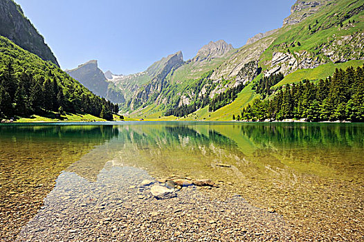 湖,阿彭策尔,阿尔卑斯山,瑞士,欧洲