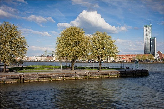 河,水岸,鹿特丹