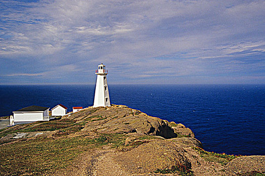灯塔,大西洋,纽芬兰,加拿大