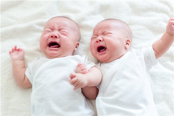双胞胎,兄弟,婴儿,哭