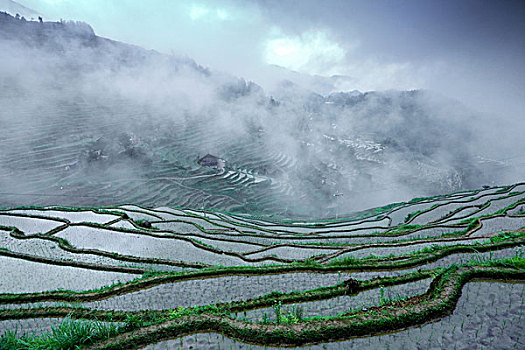 湖南娄底新化紫鹊界梯田,春季