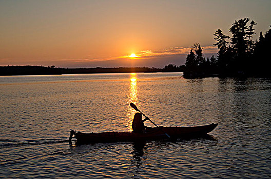 剪影,一个人,划船,船,湖,木头,安大略省,加拿大