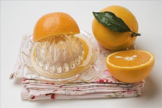 橘子,柑橘压榨器