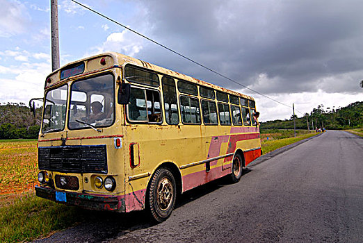 老,学校,巴士,维尼亚雷斯,古巴,加勒比
