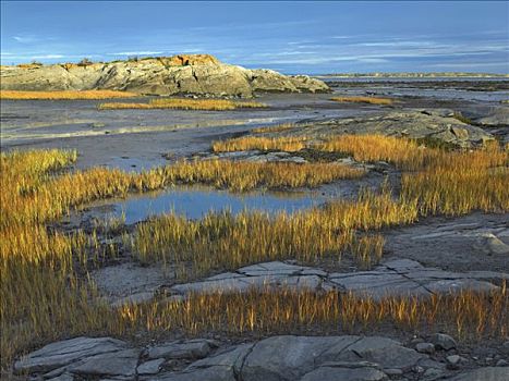 潮汐,湿地,魁北克,加拿大