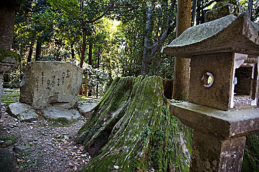 牌匾,靠近,奈良,日本
