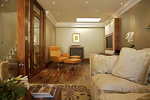 起居室,复古,橙色,椅子,木质,地板