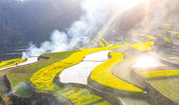 湖南湘西油菜花田