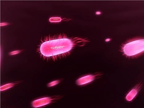 细菌,插画