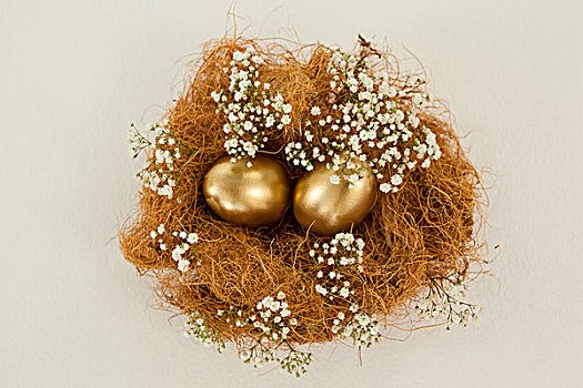 金色,复活节彩蛋,鸟窝,白色背景