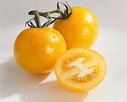 黄色西红柿,品种,水滴