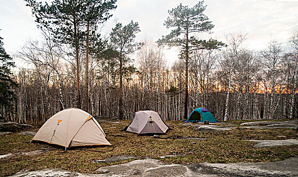 三个,帐篷,树林,林中空地