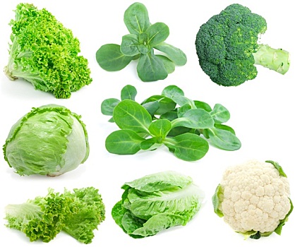卷心菜,绿色食品,收集,隔绝,白色背景,背景