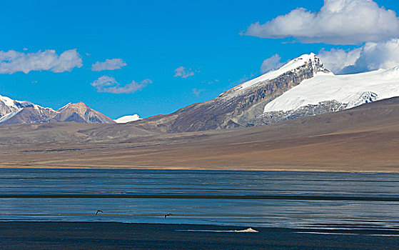 雪山下的多情湖