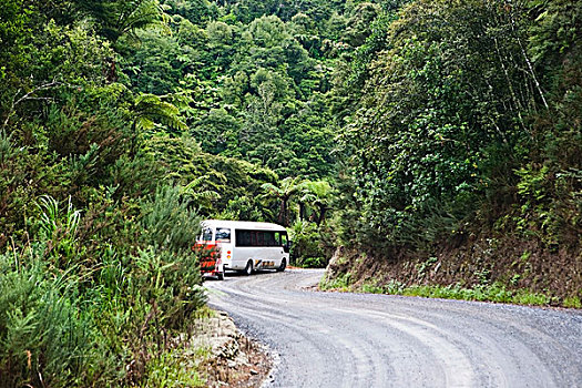 巴士,旅行,道路,岛屿湾,新西兰