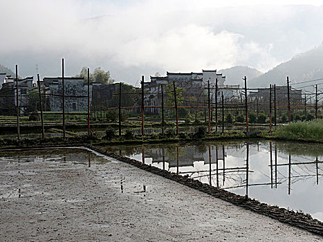 婺源西垣村田园风景