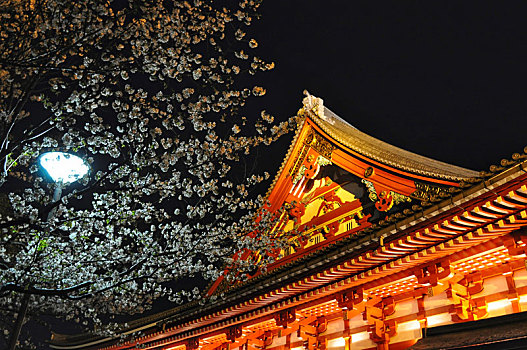 日本东京浅草寺夜景